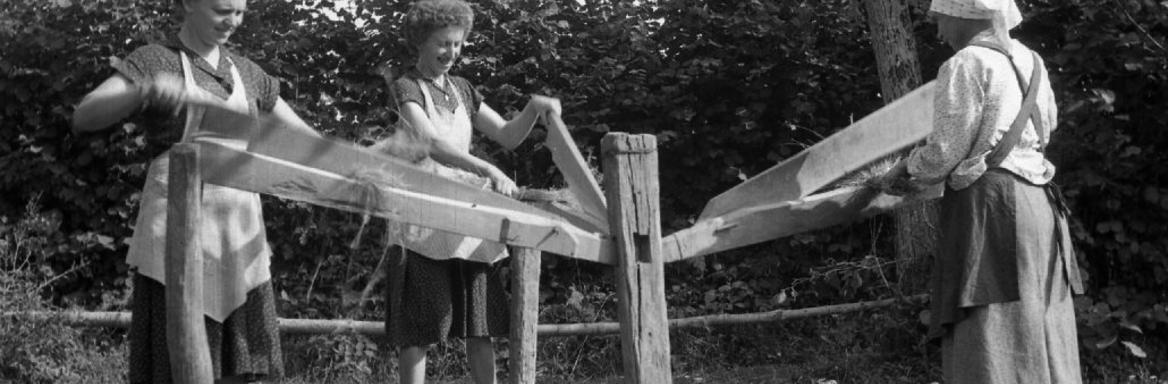 Terice pri delu, foto Marija Makarovič, Bistrica pri Mokronogu, 1961 (Dokumentacija SEM). 