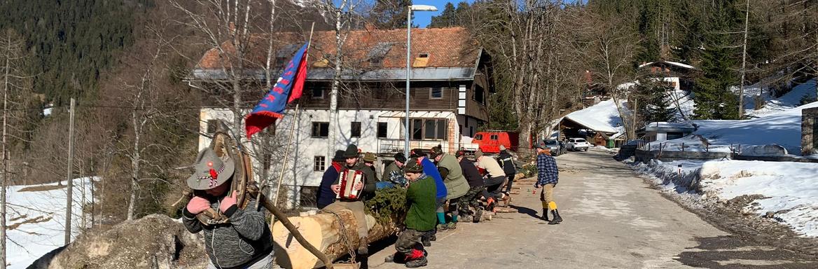 V Planini pod Golico so na pustni torek vlekli ploh