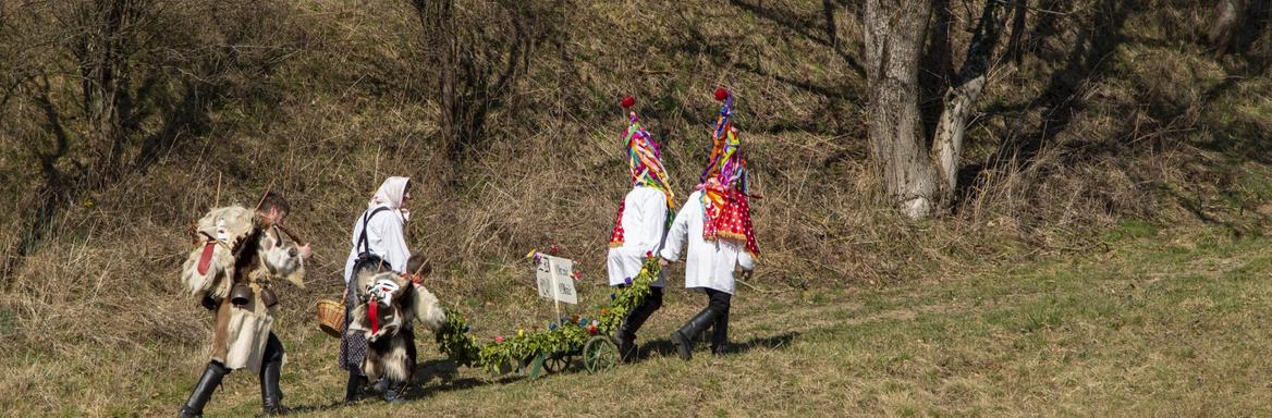 One house to another leads across meadows and through woodlands. Photo: Blaž Verbič, 2020.