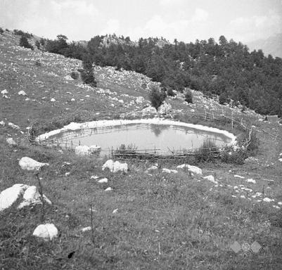 Lepóč, napajališče na Sužidski planini. Foto: Boris Orel, 1951.