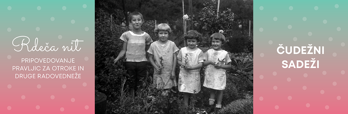 Foto: Peter Naglič
