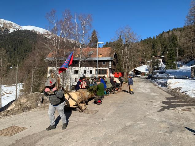 V Planini pod Golico so na pustni torek vlekli ploh