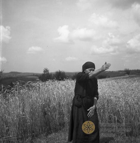 Čaranje vremena, Brkini, 1955, hrani Dokumentacija SEM