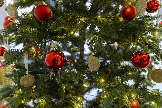 Photo: Jan Simončič