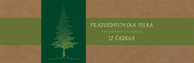 Prazgodovinska jelka iz Čadrga: Z raziskavami do znanja