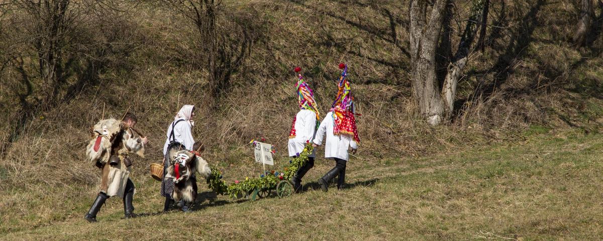 Orače Okič pot včasih vodi od domačije do domačije tudi čez travnike in skozi gozdove. Foto: Blaž Verbič, 2020.