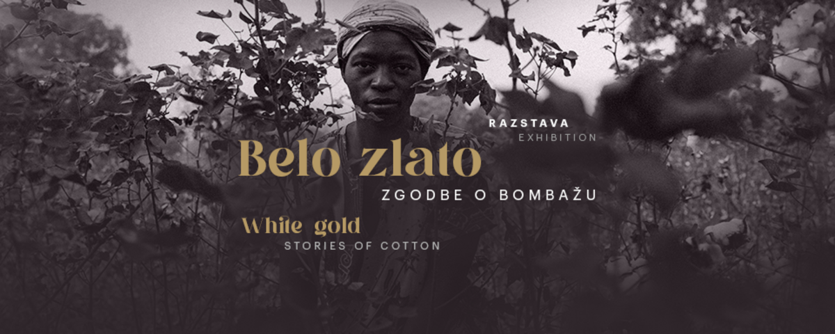 White Gold: Stories of Cotton