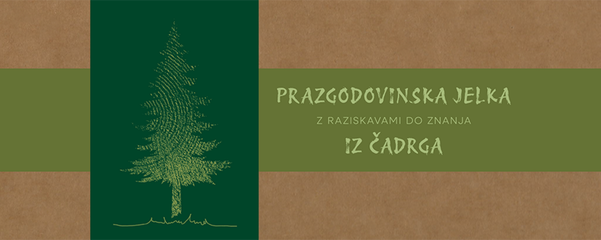 Prazgodovinska jelka iz Čadrga: Z raziskavami do znanja