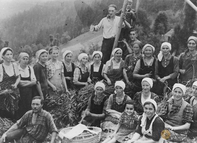 Pokrivanje glave ob žetvi – zaščita pred soncem, prahom in znojem; Koroško, 1946 / Dokumentacija SEM. Pokrivanje glave ob žetvi – zaščita pred soncem, prahom in znojem; Koroško, 1946 / Dokumentacija SEM.