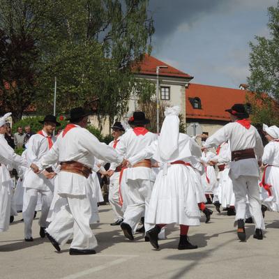 Simbolična fotografija. Foto: Nena Židov, 2017.