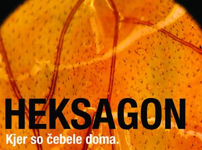 Heksagon