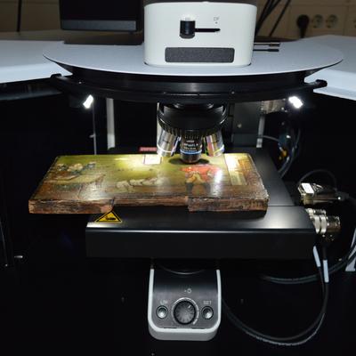 Analiza panjske končnice z ramanskim mikroskopom (foto: arhiv Raziskovalnega inštituta CK ZVKDS) 