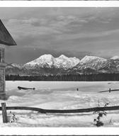 Božično-novoletna voščilnica, 30. in 40. leta 20. stoletja, foto: Vekoslav Kramarič