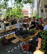 Utrinki z delavnice spletanja venčkov sv. Ivana, Štanjel, junij 2022. Foto: Miha Špiček, Dokumentacija SEM.