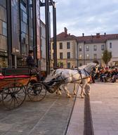 Včeraj se je v SEM odprla razstava Sveti konji - nebesni jezdeci