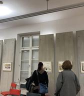 Stoletje zlatega faraona
