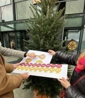 Izbira barvne palete za tisk novoletnih okraskov, ki naznanjajo praznovanje 100 let SEM v letu 2023!