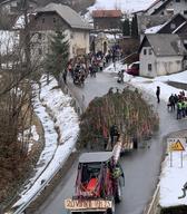 Lomski ploh ali vomnsk poh. Foto Miha Špiček.