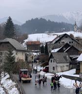 Lomski ploh ali vomnsk poh. Foto Miha Špiček.