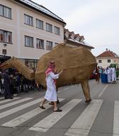 Pustni karneval v Ribnici. Foto: Natalija Bubnjar.