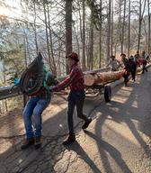 Vleka ploha v Javorniškem Rovtu. Foto: Miha Špiček