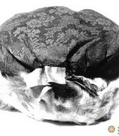 Kožuhovinasta avba / Avba / Križe pri Kamniku / iz zbirke SEM / foto: J. Žagar. 