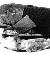 Kožuhovinasta avba / Križe pri Kamniku / iz zbirke SEM / foto: J. Žagar. 