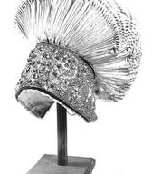 Avba z zlatovezenim čelnikom in krožnikastim oglavjem / Rečica pri Bledu / iz zbirke SEM / foto: J. Žagar. 