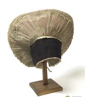 Avba z črnovezenim čelnikom in krožnikastim oglavjem / okolica Koroške bele / iz zbirke SEM / foto: J. Žagar. 