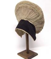 Avba z črnovezenim čelnikom in krožnikastim oglavjem / Rateče / iz zbirke SEM / foto: J. Žagar. 