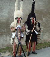 Vrbiške šeme