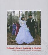 Zbornik Vleka ploha in poroka z borom: Pustni šegi v Sloveniji, Avstriji in na Madžarskem