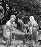 Boris Kuhar snema teritev lanu. Muljava, 1969 (dokumentacija SEM).