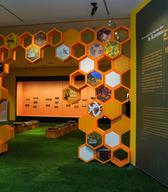 Beekeeping Culture and Art of Slovenia