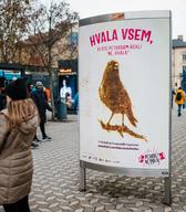 Ne meči petard, raje mi vrzi žogo!, Foto: Tadej Kreft