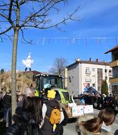 Dogajanje pred in med mednarodno karnevalsko povorko na Ptuju. Foto: Gregor Ilaš