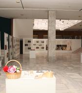 Razstava Nesnovna kulturna dediščina Slovenije v luči Unescove Konvencije v Skopju. Foto: Muzej Severne Makedonije