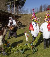The Okič group of Shrovetide ploughmen