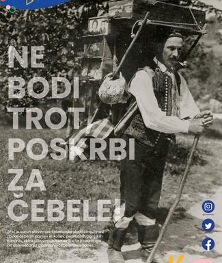 Danes praznujemo svetovni dan čebel!