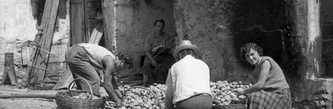 Foto: B. Orel, B. Kuhar, M. Makarovič, J. Skrlep, A. Novak (od leta 1948 - 1956)