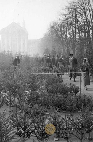 Prodaja smrek, Kongresni trg, Ljubljana, obdobje pred 2. svetovno vojno, fotograf neznan