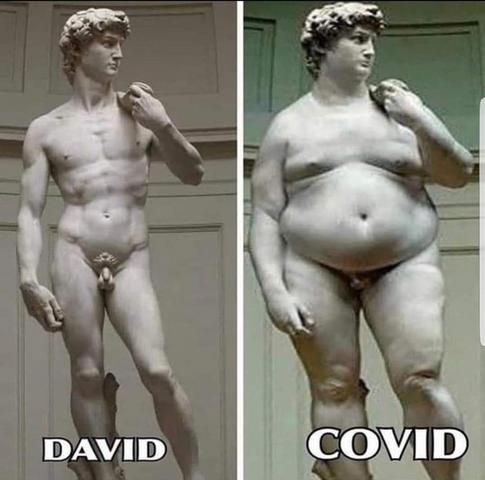 David