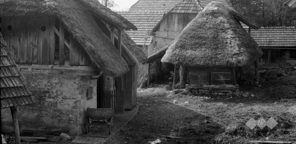 Hiše v Drašičih iz leta 1965
