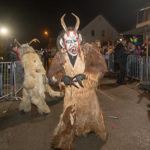 Foto: Tone Štamcar, Goričane 2019