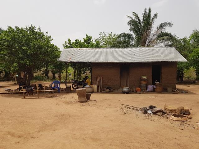 A part of a village elder's farm (Kpalimé). Photo: Ana Reberc.
