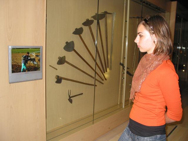 Obiskovalka posnetke kopanja in oranja lahko primerja z razstavljenimi motikami (foto: Nada Žgank). 