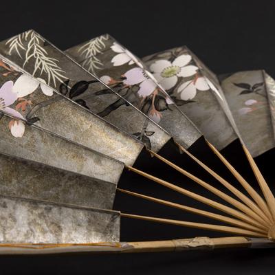 Zadnje vodstvo po razstavi Azija sredi Ljubljane: Življenje Skuškove zbirke