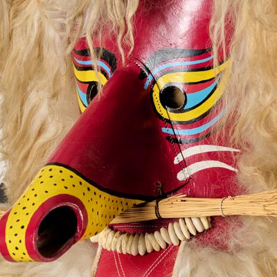 Foto: Tomo Jeseničnik