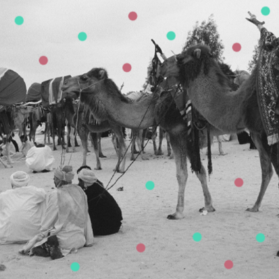 Karavana kamel, alžirska Sahara, 1963, osebni arhiv NZ
