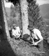 Cimpermana žagata smreko. Foto: Fanči Šarf